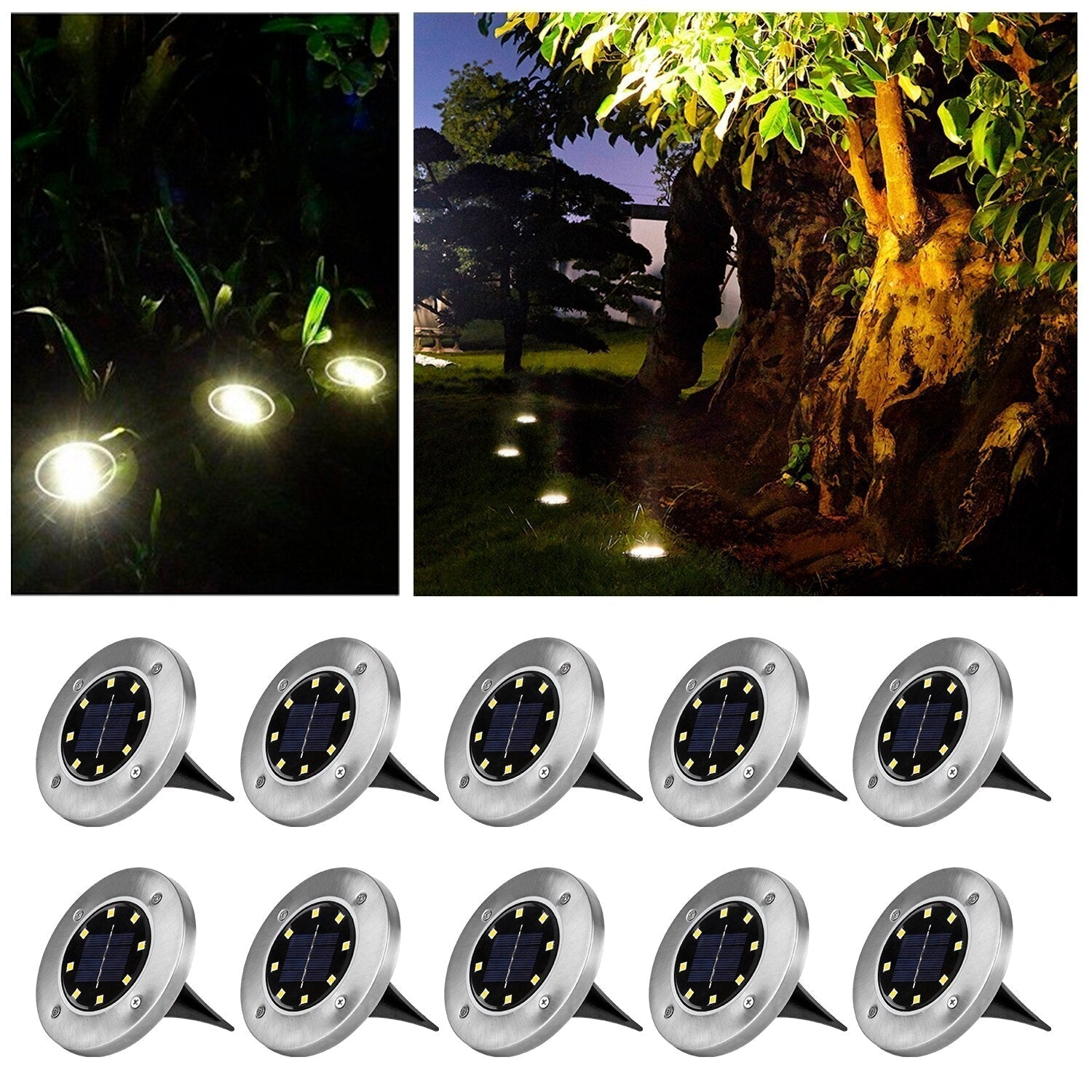 Solar Garden Light
