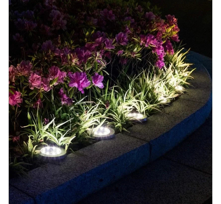 Solar Garden Light